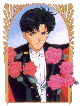 Tuxedo Mask...Knight of the Moonlight...Endymion...Mamoru